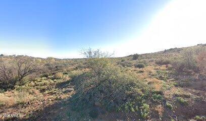 19729 E Sage Brush Dr #2190, Mayer, AZ 86333
