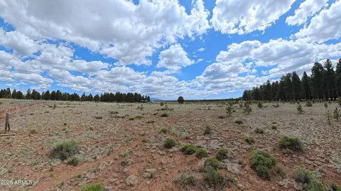12565 Camp Kimball Rd #-, Parks, AZ 86018
