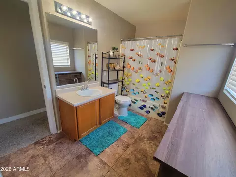 Bath - 10841 E Forge Cir, Mesa, AZ 85208 photo 2 of 3