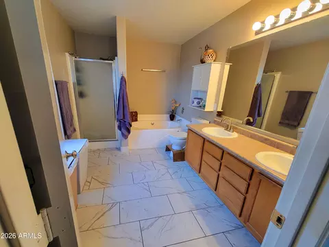 Bath - 10841 E Forge Cir, Mesa, AZ 85208 photo 1 of 3