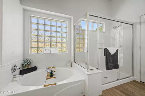 Bath - 1742 E Pony Ln, Gilbert, AZ 85295 photo 4 of 6