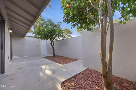 Exterior - 857 N Cherry --, Mesa, AZ 85201 photo 3 of 9