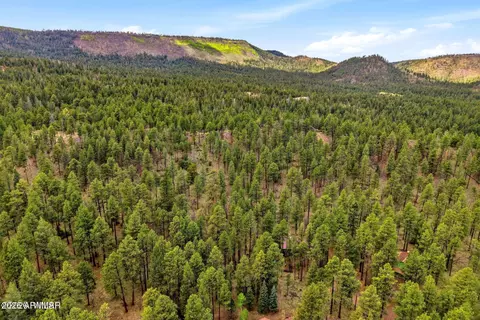 2 County Road 2050 --, Alpine, AZ 85920 photo 26