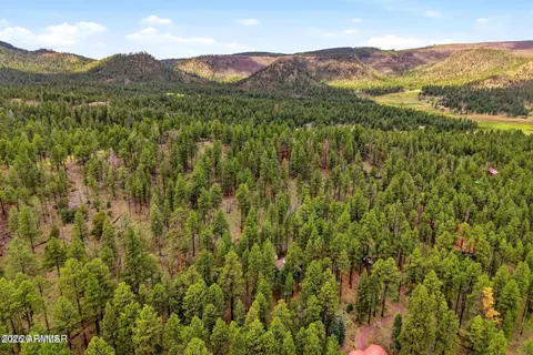 2 County Road 2050 --, Alpine, AZ 85920 photo 27