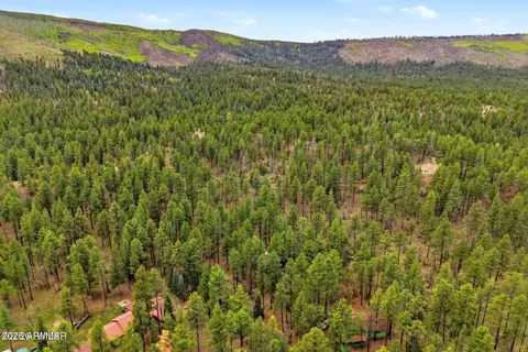 2 County Road 2050 --, Alpine, AZ 85920 photo 25