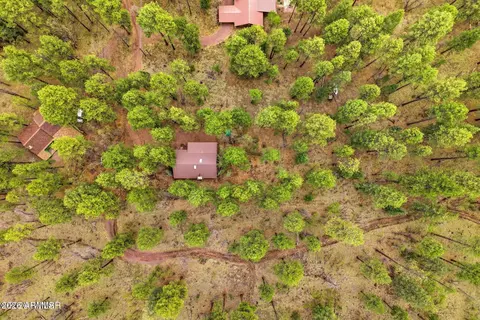 2 County Road 2050 --, Alpine, AZ 85920 photo 24