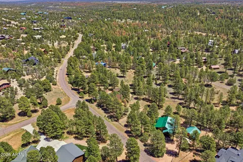 View/Area - 2905 Lodgepole Rd, Overgaard, AZ 85933 photo 4 of 6