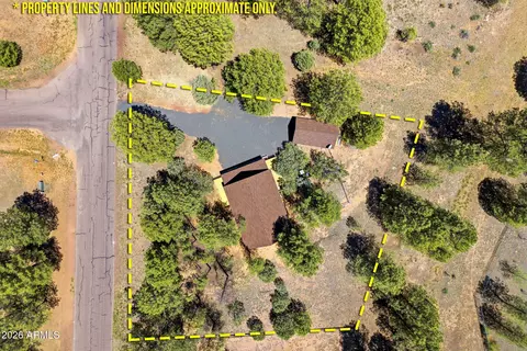 View/Area - 2905 Lodgepole Rd, Overgaard, AZ 85933 photo 6 of 6
