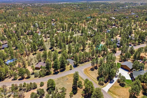 View/Area - 2905 Lodgepole Rd, Overgaard, AZ 85933 photo 5 of 6
