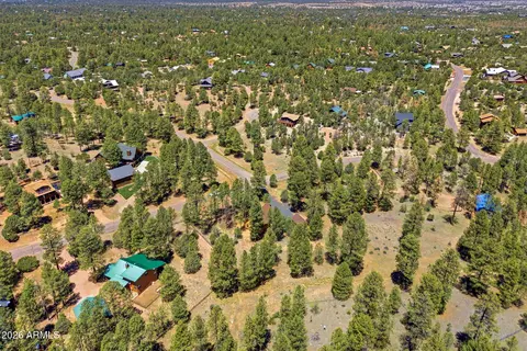 View/Area - 2905 Lodgepole Rd, Overgaard, AZ 85933 photo 3 of 6