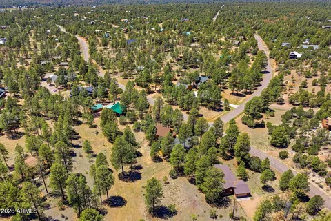 View/Area - 2905 Lodgepole Rd, Overgaard, AZ 85933 photo 2 of 6