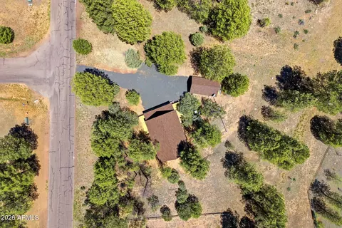 View/Area - 2905 Lodgepole Rd, Overgaard, AZ 85933 photo 1 of 6