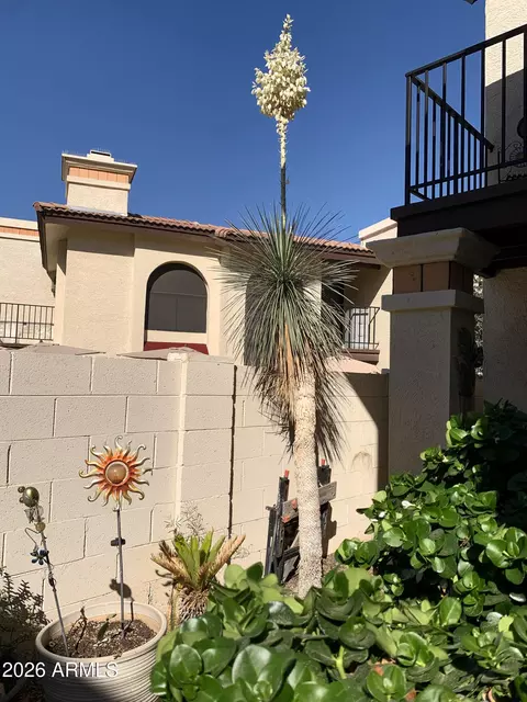 Exterior - 4914 E Siesta Dr #2, Phoenix, AZ 85044 photo 4 of 6