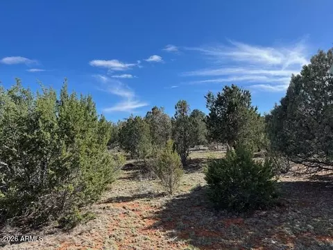 2277 Sunrise Rd #361, Overgaard, AZ 85933