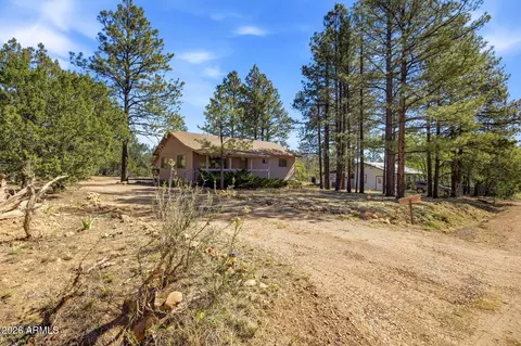 1924 1924 Little Doe Trl, Overgaard, AZ 85933