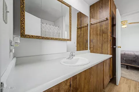 Bath - 20221 E Mayfield Rd, Florence, AZ 85132 photo 4 of 5