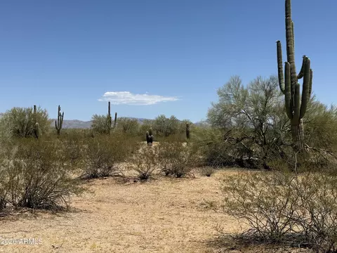 lot4 S Cactus Garden Way #4, Marana, AZ 85653