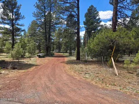 196 N Spitz Spring Rd, Parks, AZ 86018