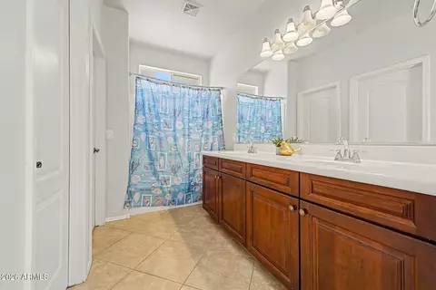 Bath - 4343 E Oakland St, Gilbert, AZ 85295 photo 1 of 3