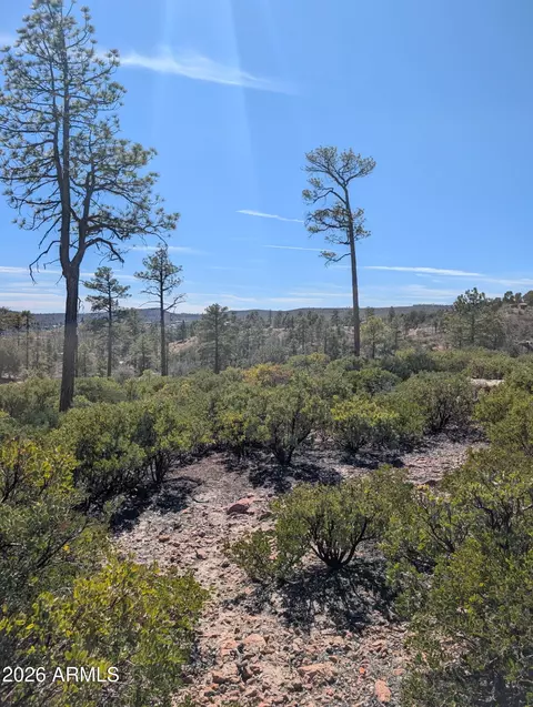 958 Navajo Trl #435, Show Low, AZ 85901