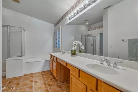 Bath - 4040 E Sidewinder Ct, Gilbert, AZ 85297 photo 3 of 5