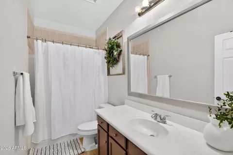 Bath - 9737 E Lobo Ave, Mesa, AZ 85209 photo 4 of 5