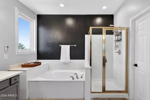 Bath - 9737 E Lobo Ave, Mesa, AZ 85209 photo 3 of 5