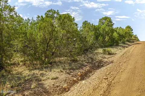 3512 W Pine Rim Dr #237, Overgaard, AZ 85933 photo 10