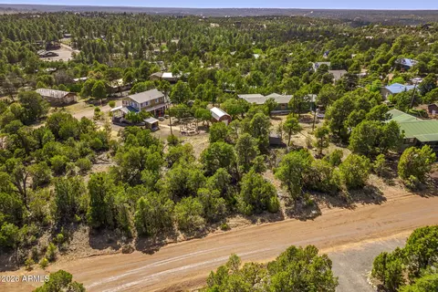3512 W Pine Rim Dr #237, Overgaard, AZ 85933 photo 16
