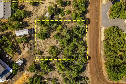 3512 W Pine Rim Dr #237, Overgaard, AZ 85933 photo 3