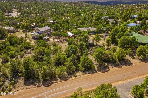 3512 W Pine Rim Dr #237, Overgaard, AZ 85933 photo 2