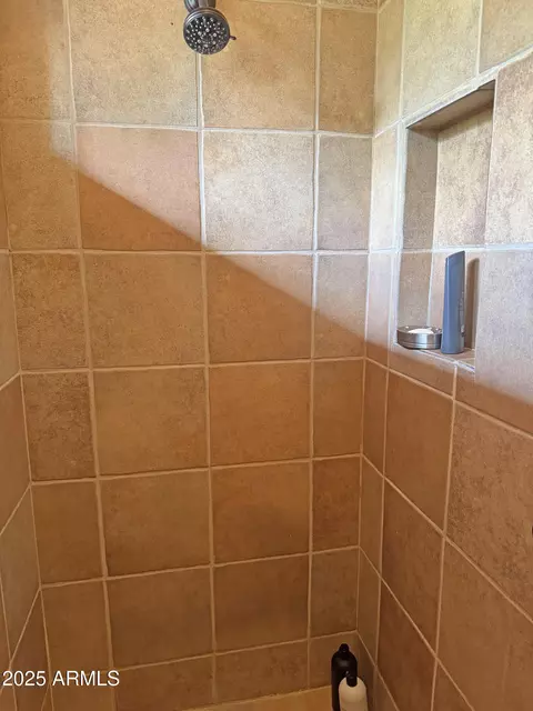 Bath - 6682 W Windsong Ln, Pine, AZ 85544 photo 1 of 5
