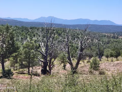 41 42 Antelope Trl #41 & 42, Payson, AZ 85541