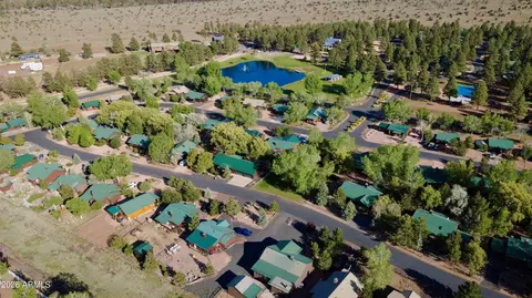 2334 Buffalo Loop N, Overgaard, AZ 85933 photo 22