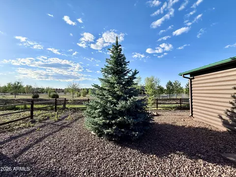2334 Buffalo Loop N, Overgaard, AZ 85933 photo 18