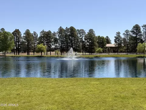 2334 Buffalo Loop N, Overgaard, AZ 85933 photo 24