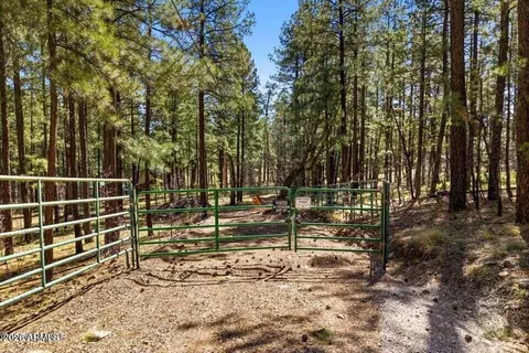 11 County Road 2135 -- #N/A, Alpine, AZ 85920