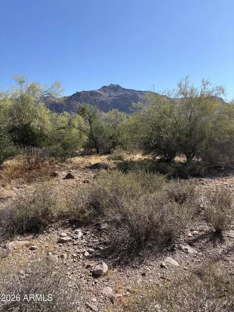 10890 E Cactus View Cir #9, Gold Canyon, AZ 85118