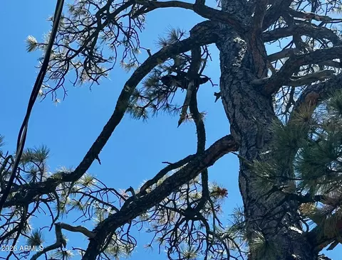 Other - 10810 Tanager --, Jerome, AZ 86331 photo 7 of 7