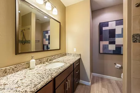 Bath - 1527 E Gary Way, Phoenix, AZ 85042 photo 3 of 4