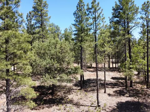 4450 Blackfoot Cir #415, Happy Jack, AZ 86024
