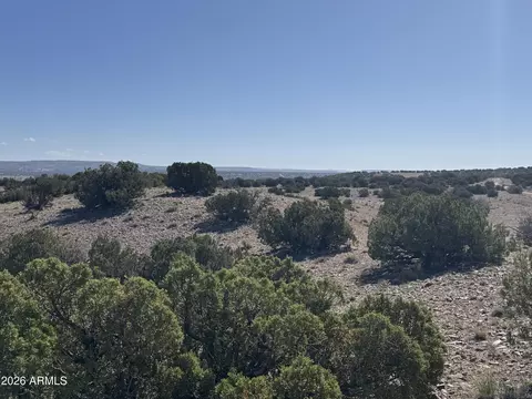 lot901 Woodland Valley Rnch #901, Saint Johns, AZ 85936