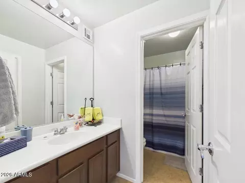 Bath - 2837 E Palmdale Ln, Gilbert, AZ 85298 photo 2 of 4