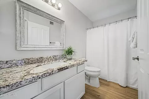 Bath - 1435 E Silver Creek Rd, Gilbert, AZ 85296 photo 4 of 4