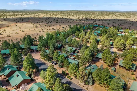 View/Area - 2652 Lodge Loop, Overgaard, AZ 85933 photo 4 of 6