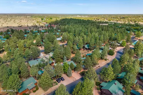 View/Area - 2652 Lodge Loop, Overgaard, AZ 85933 photo 5 of 6