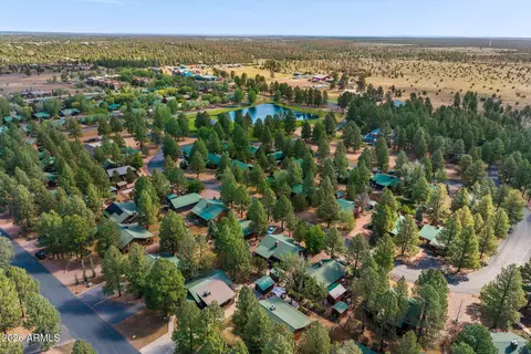 View/Area - 2652 Lodge Loop, Overgaard, AZ 85933 photo 6 of 6
