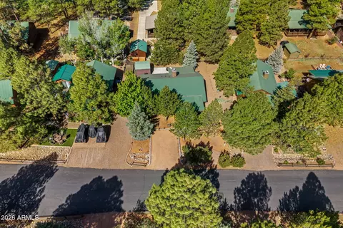 View/Area - 2652 Lodge Loop, Overgaard, AZ 85933 photo 2 of 6