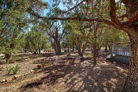 3069 Aspen Rd, Overgaard, AZ 85933 photo 5