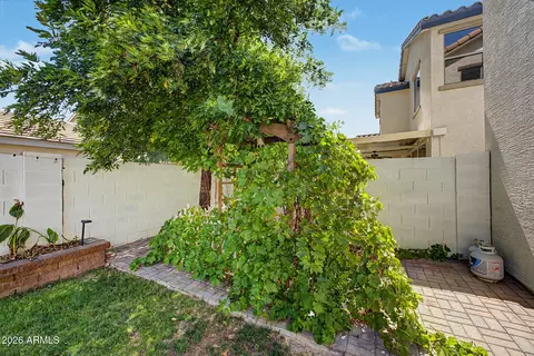Exterior - 3545 E Tulsa St, Gilbert, AZ 85295 photo 10 of 10